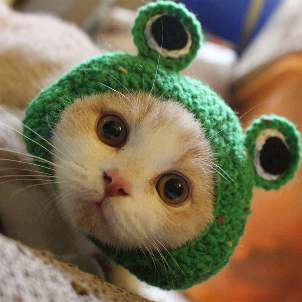 Handmade Knitted Woolen Pet Hat for Dogs and Cats - Cartoon Frog Design, Green, Size M