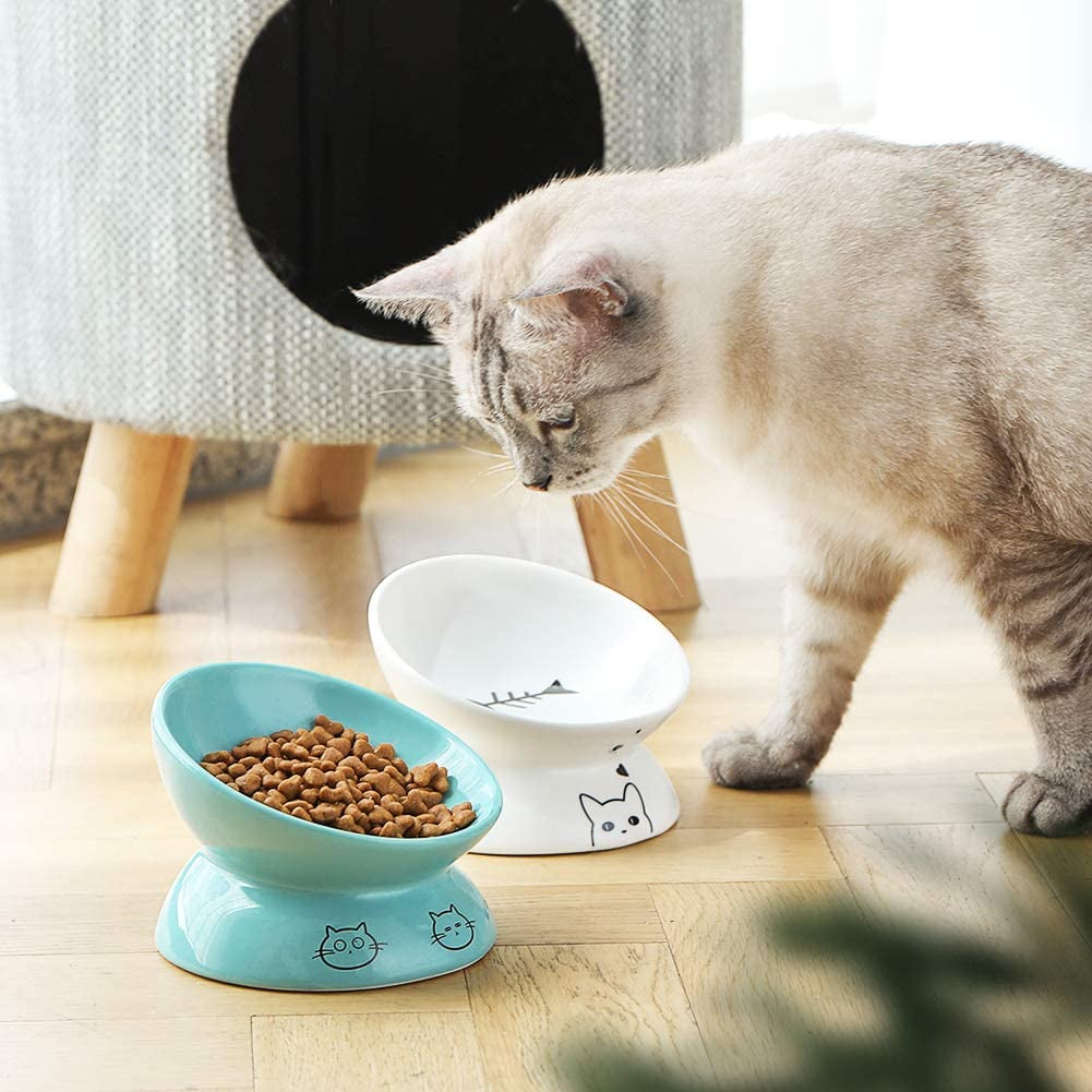 Elevated Ceramic Cat Bowls - Slanted Porcelain Pet Feeder for Food and Water, Spine Protection and Backflow Prevention (White)