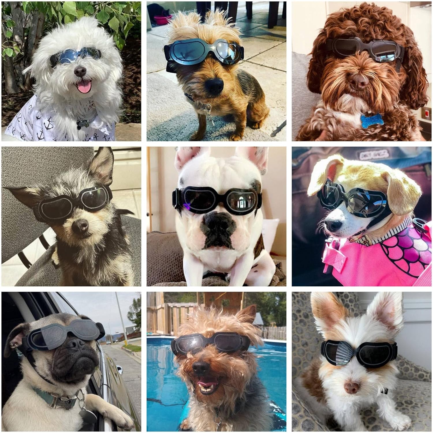 UV Protection Dog Goggles for Small Breeds - Adjustable Anti-Fog, Snowproof, and Windproof Sunglasses in Bright Black