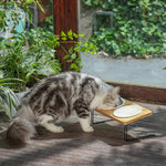 Elevated Ceramic Bowls for Cats and Small Dogs with 15° Tilted Design, Complete Set with Solid Bamboo Water Stand Feeder