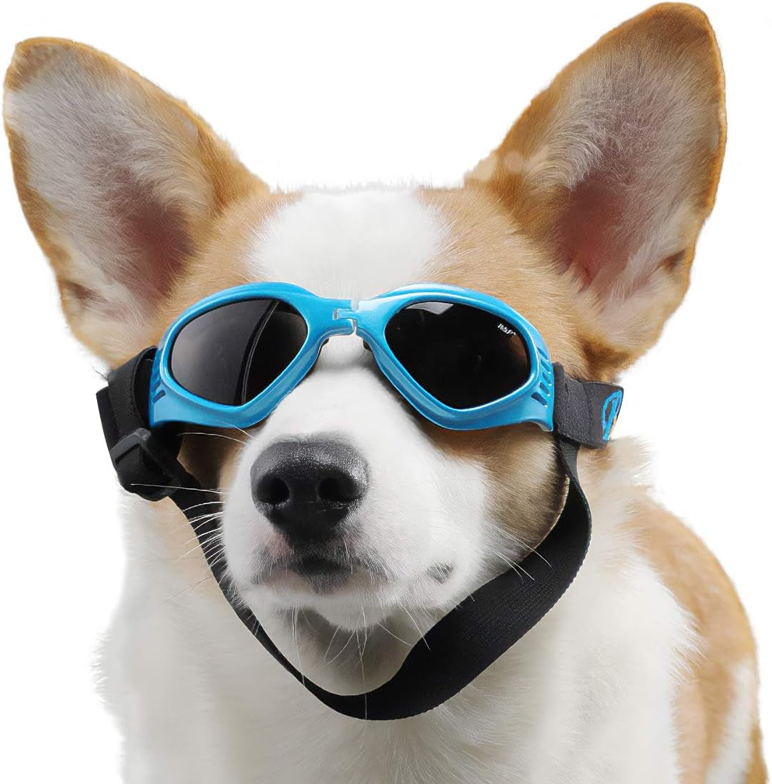 Adjustable UV Protection Dog Goggles with Waterproof Features (Blue)