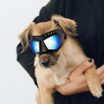 Dog Goggles for Small to Medium Breeds - UV Protection, Anti-Fog, Windproof, and Snowproof Sunglasses with Soft Frame in Black