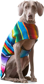 Handcrafted Dog Poncho from Authentic Mexican Blanket - Blue (XXS)