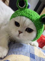 Handmade Knitted Woolen Pet Hat for Dogs and Cats - Cartoon Frog Design, Green, Size M