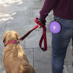 Collapsible Travel Dog Bowls - 2-Pack Portable Feeding and Watering Dishes for Pets, Includes 2 Carabiners, BPA Free