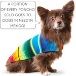 Handcrafted Dog Poncho from Authentic Mexican Blanket - Blue (XXS)