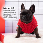 Winter Dog Sweater with Golden Thread Turtleneck - Red Cat Sweater