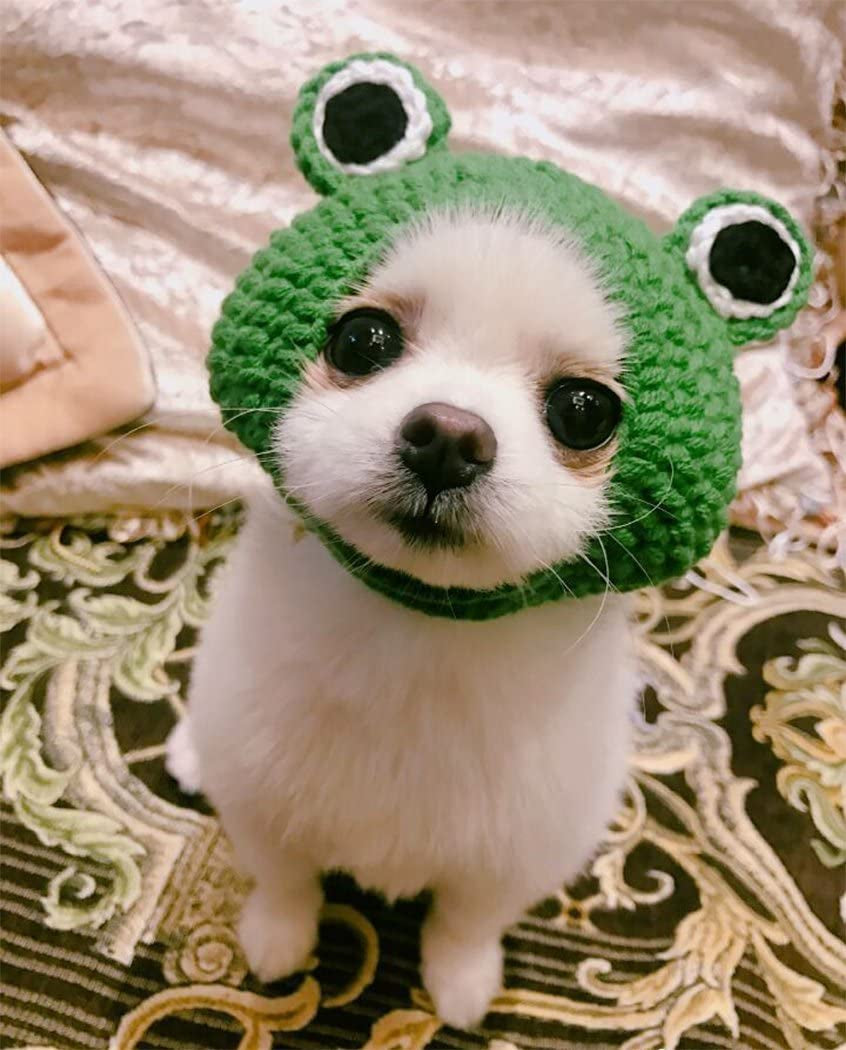 Handmade Knitted Woolen Pet Hat for Dogs and Cats - Cartoon Frog Design, Green, Size M