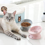 Elevated Ceramic Cat Bowls for Food and Water, Slanted Design for Spine Protection and Backflow Prevention (Pink)