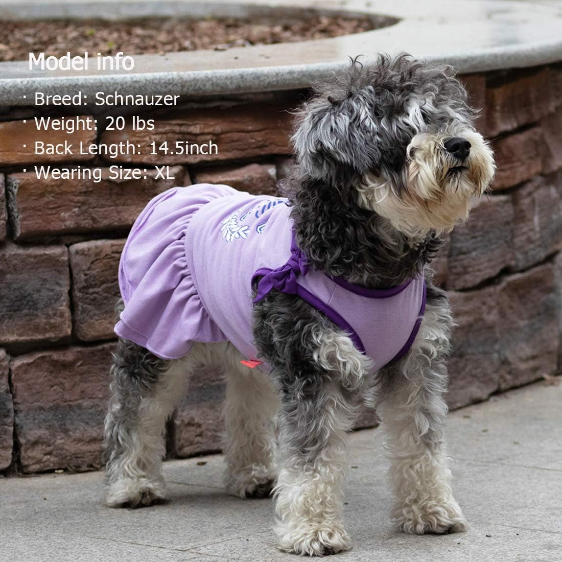 Lavender Purple Dog Princess Sundress with Bowtie for Small to Medium Breeds (X-Small)