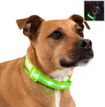 LED Dog Collar - Original Brightest Light-Up Design with 1,000 Feet Visibility - USB Rechargeable and Waterproof - Ideal for Night Walking - USA Brand