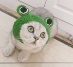 Handmade Knitted Woolen Pet Hat for Dogs and Cats - Cartoon Frog Design, Green, Size M