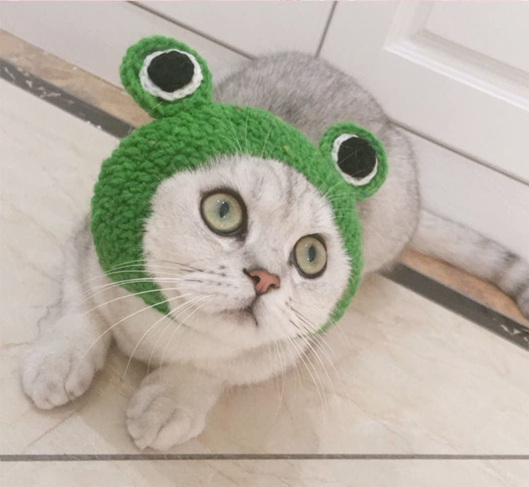 Handmade Knitted Woolen Pet Hat for Dogs and Cats - Cartoon Frog Design, Green, Size M