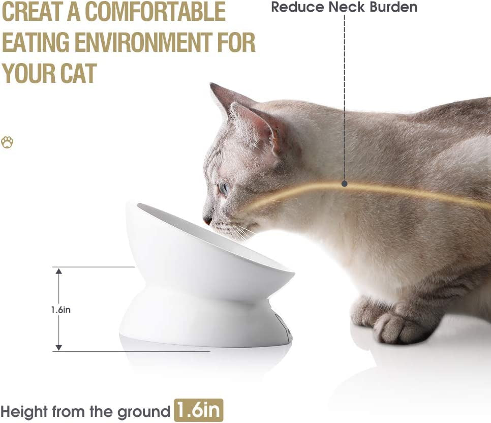 Elevated Ceramic Cat Bowls - Slanted Porcelain Pet Feeder for Food and Water, Spine Protection and Backflow Prevention (White)