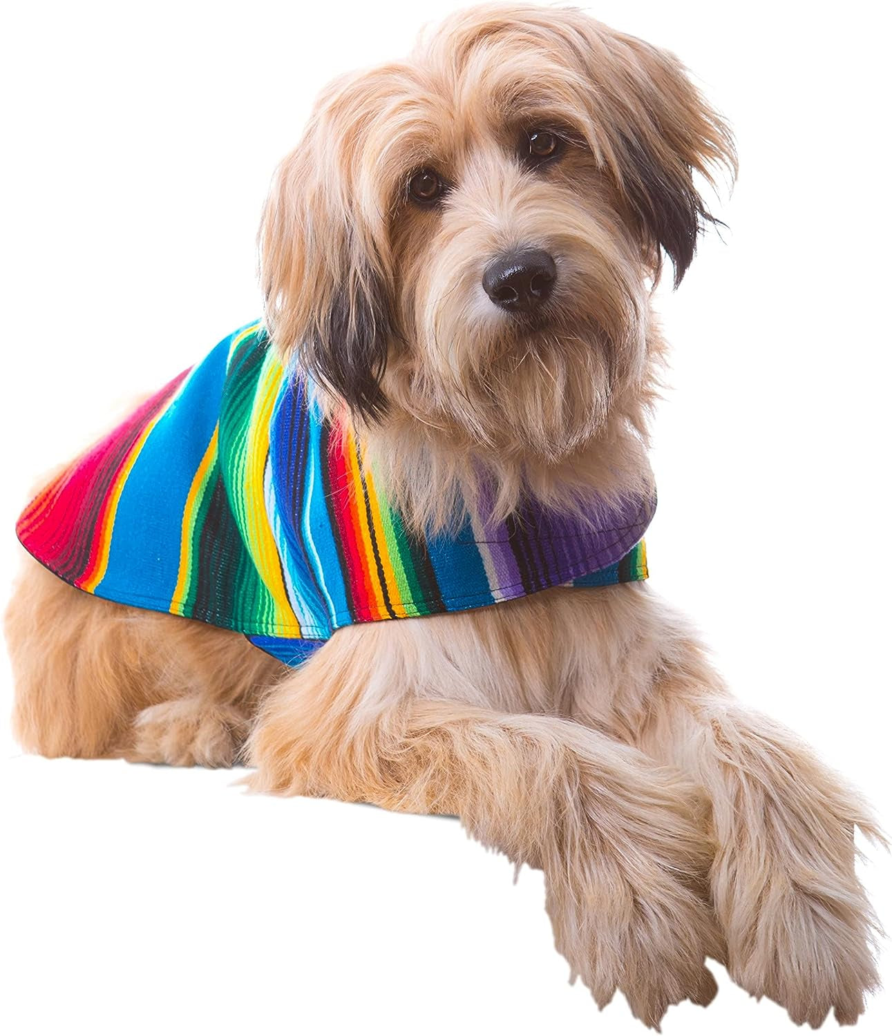 Handcrafted Dog Poncho from Authentic Mexican Blanket - Blue (XXS)