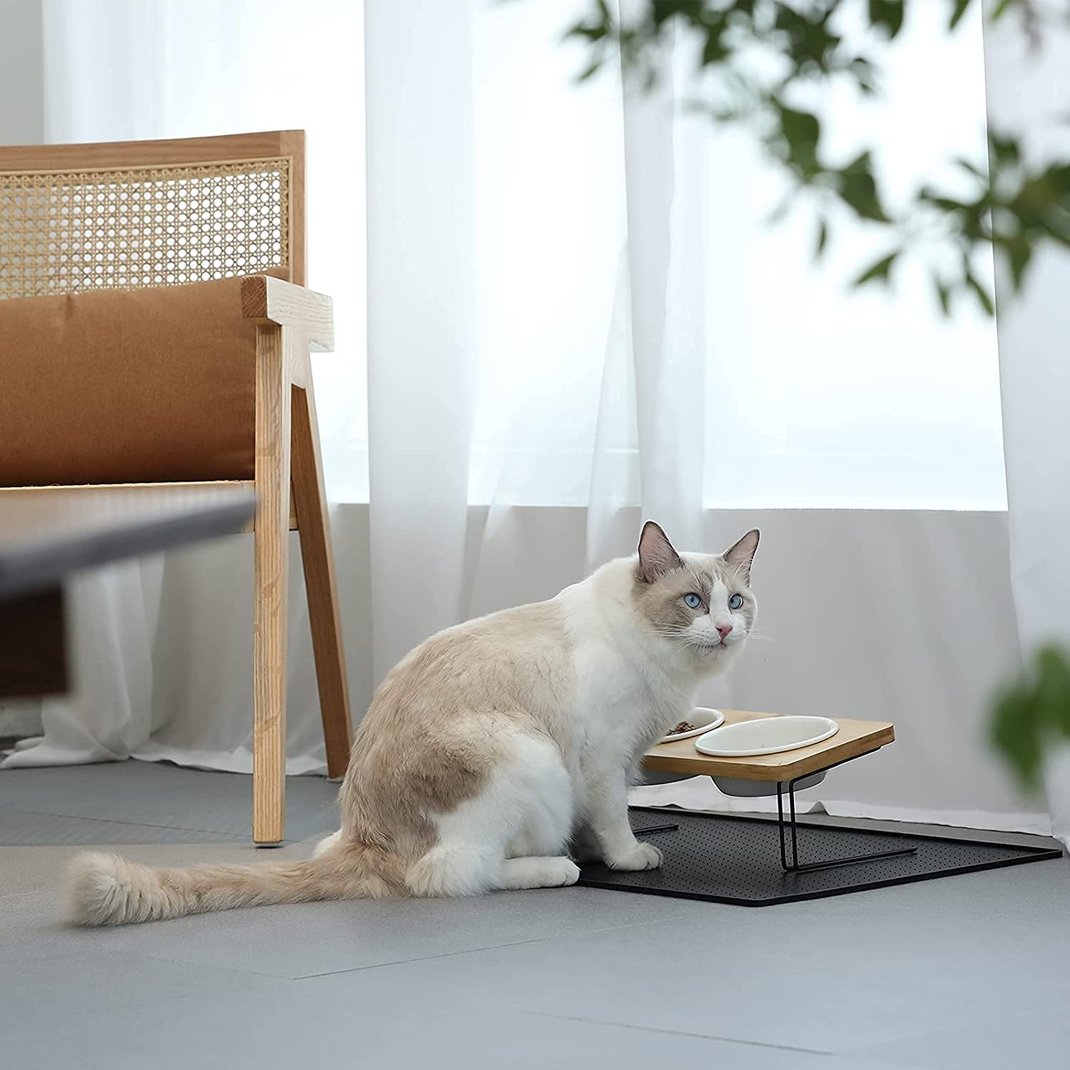 Elevated Ceramic Bowls for Cats and Small Dogs with 15° Tilted Design, Complete Set with Solid Bamboo Water Stand Feeder