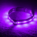 LED Dog Collar - Original Brightest Light-Up Design with 1,000 Feet Visibility - USB Rechargeable and Waterproof - Ideal for Night Walking - USA Brand