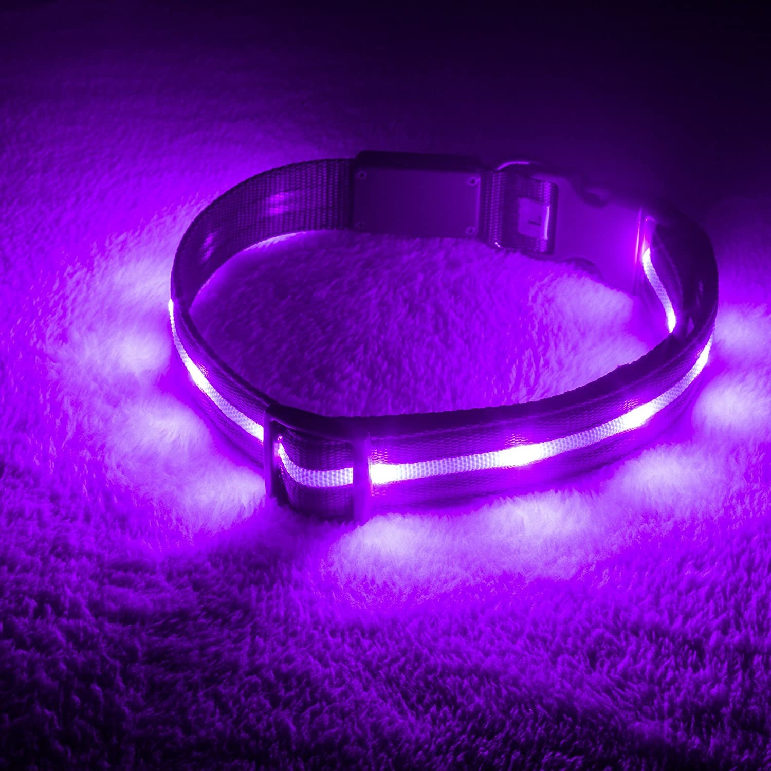 LED Dog Collar - Original Brightest Light-Up Design with 1,000 Feet Visibility - USB Rechargeable and Waterproof - Ideal for Night Walking - USA Brand