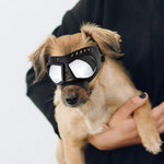 Dog Goggles for Small to Medium Breeds - UV Protection, Anti-Fog, Windproof, and Snowproof Sunglasses with Soft Frame in Black