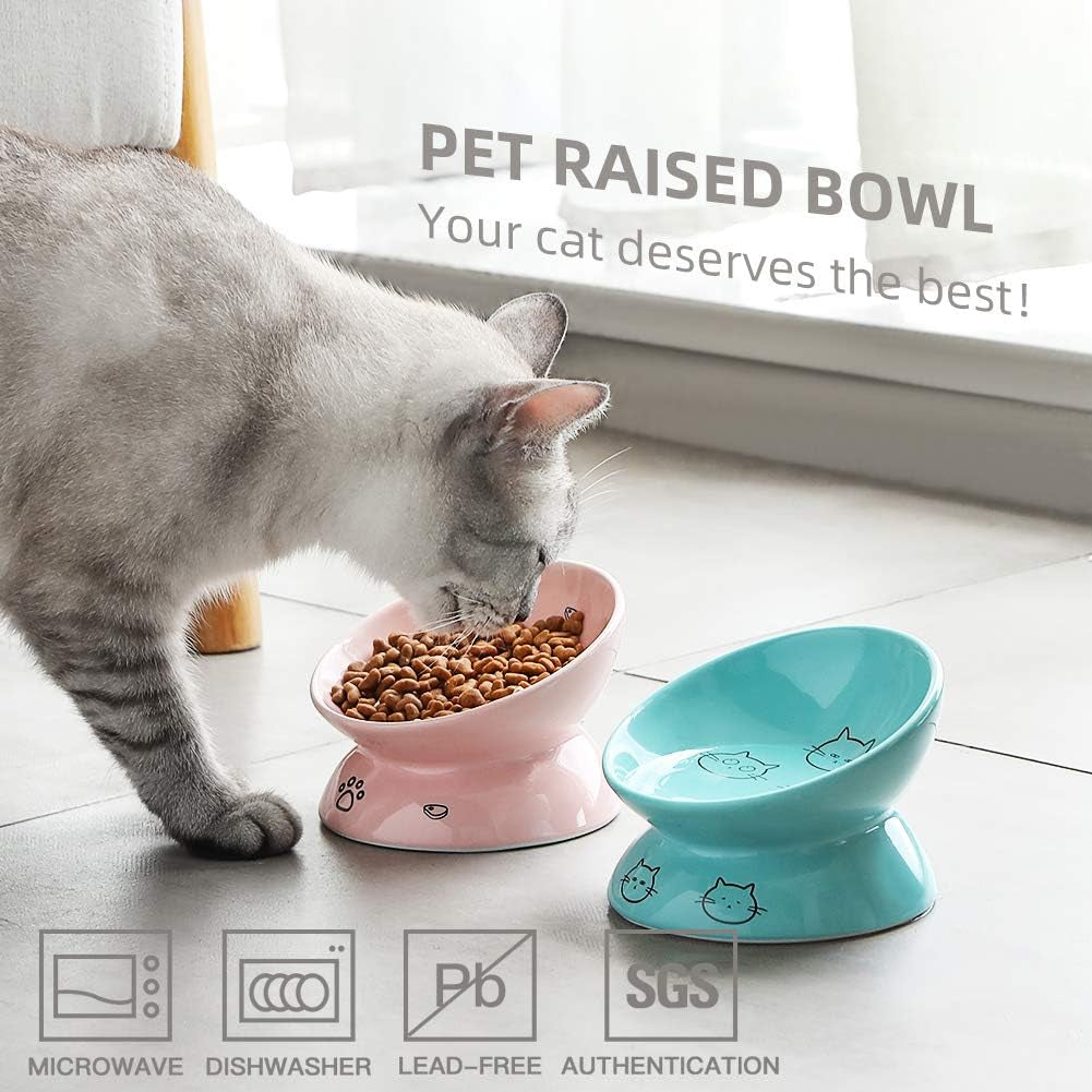 Elevated Ceramic Cat Bowls for Food and Water, Slanted Design for Spine Protection and Backflow Prevention (Pink)