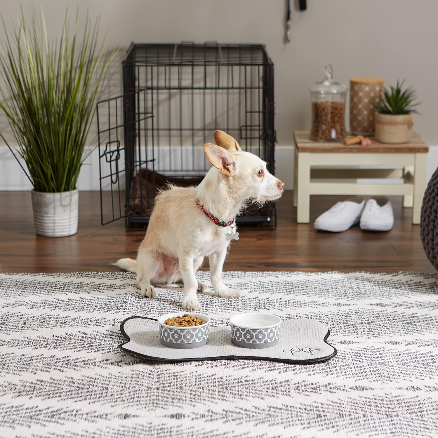 Lattice Pet Bowl Set, Non-Slip Silicone Ring for Secure Feeding, Microwave & Dishwasher Safe, Small Size 4.25" x 2", Gray, Pack of 2