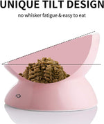 Elevated Ceramic Cat Bowls for Food and Water, Slanted Design for Spine Protection and Backflow Prevention (Pink)