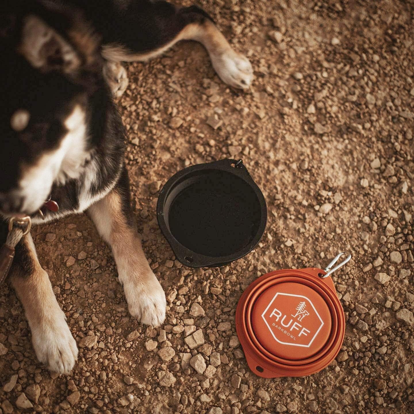 Barkbowl 800ml - Premium Collapsible Dog Bowl in Black, Made from Platinum-Cured Food Grade Silicone, No Plastic Rim, Safe for Food, Ideal for Travel