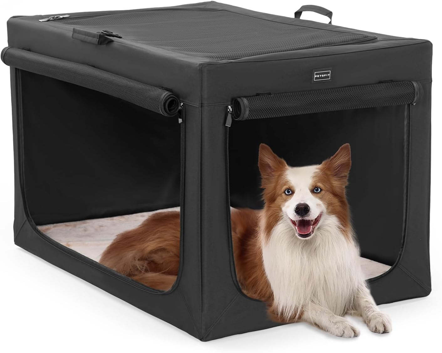 24-Inch Portable Soft Dog Crate - Lightweight, Sturdy, and Comfortable with Thick Mat for Home and Travel, Black