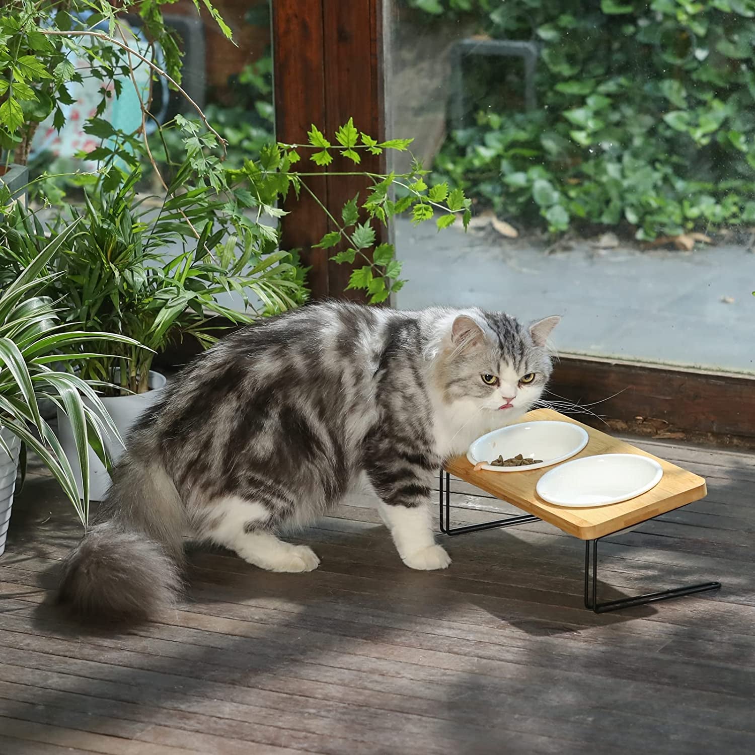 Elevated Ceramic Bowls for Cats and Small Dogs with 15° Tilted Design, Complete Set with Solid Bamboo Water Stand Feeder