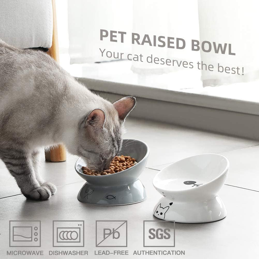 Elevated Ceramic Cat Bowls - Slanted Porcelain Pet Feeder for Food and Water, Spine Protection and Backflow Prevention (White)