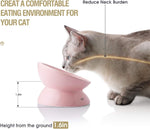 Elevated Ceramic Cat Bowls for Food and Water, Slanted Design for Spine Protection and Backflow Prevention (Pink)