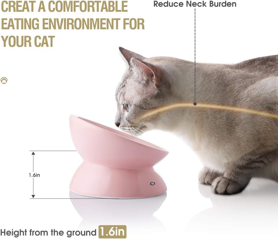 Elevated Ceramic Cat Bowls for Food and Water, Slanted Design for Spine Protection and Backflow Prevention (Pink)